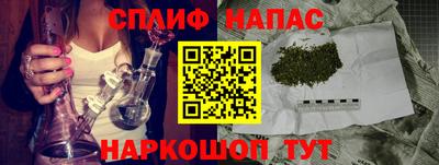 дмт Моздок