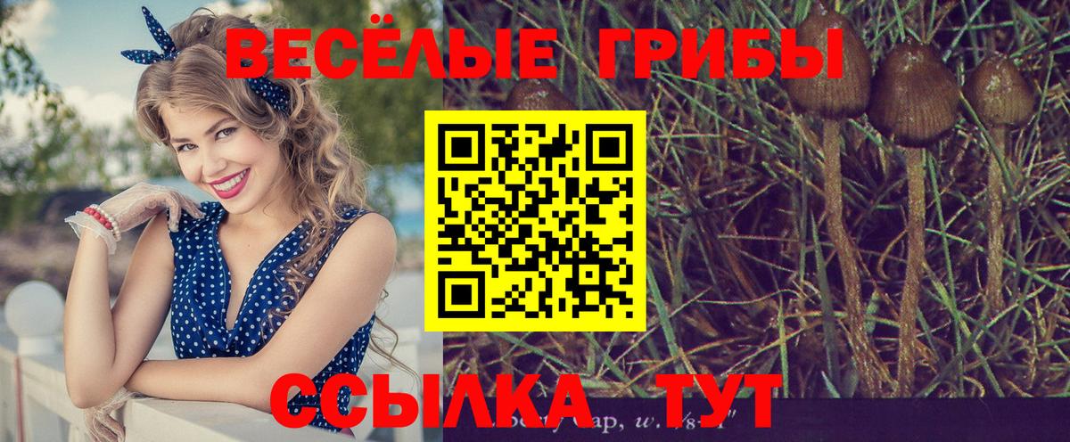 Псилоцибиновые грибы ЛСД Уссурийск